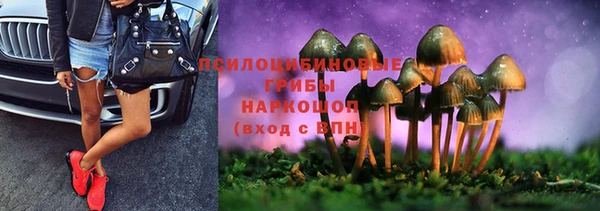 a pvp Алзамай