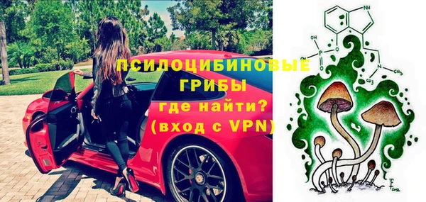 a pvp Алзамай