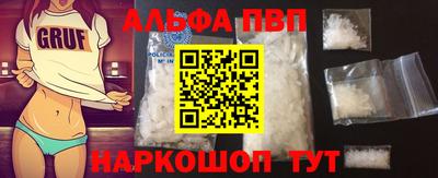 стаф Кингисепп