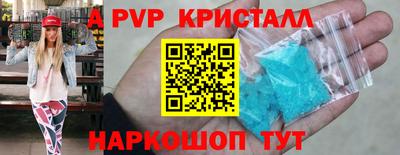 стаф Кингисепп