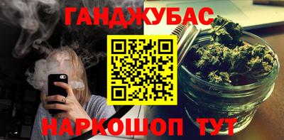 стаф Кингисепп