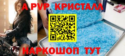 стаф Кингисепп