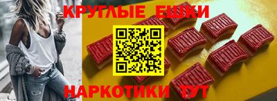 стаф Кингисепп