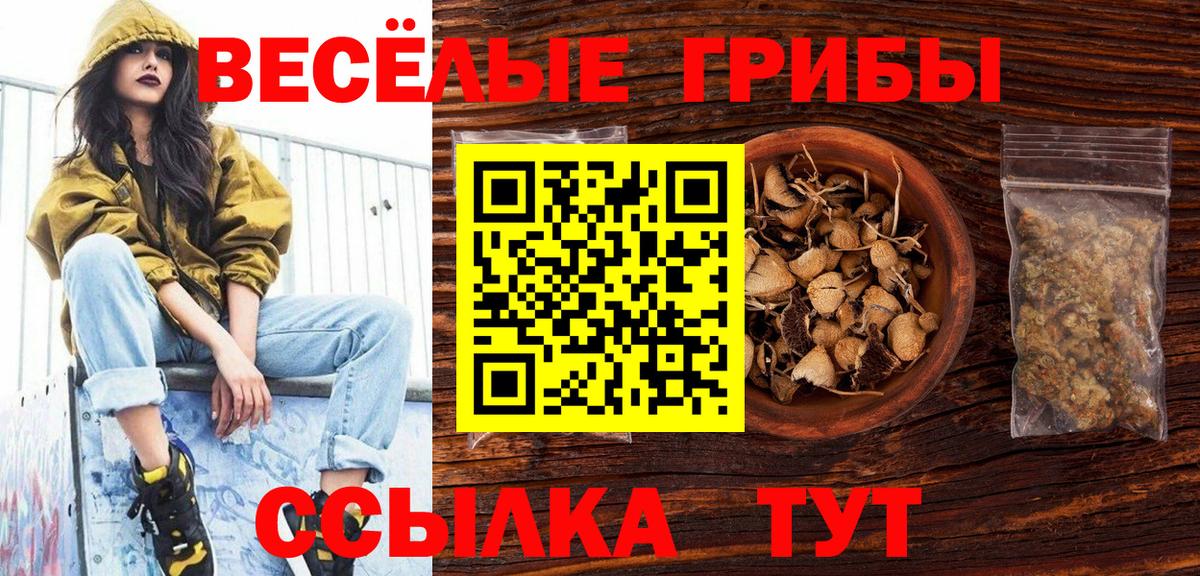 Галлюциногенные грибы Psilocybe  Вход с VPN  Псилоцибиновые грибы прущие грибы  Рубцовск 